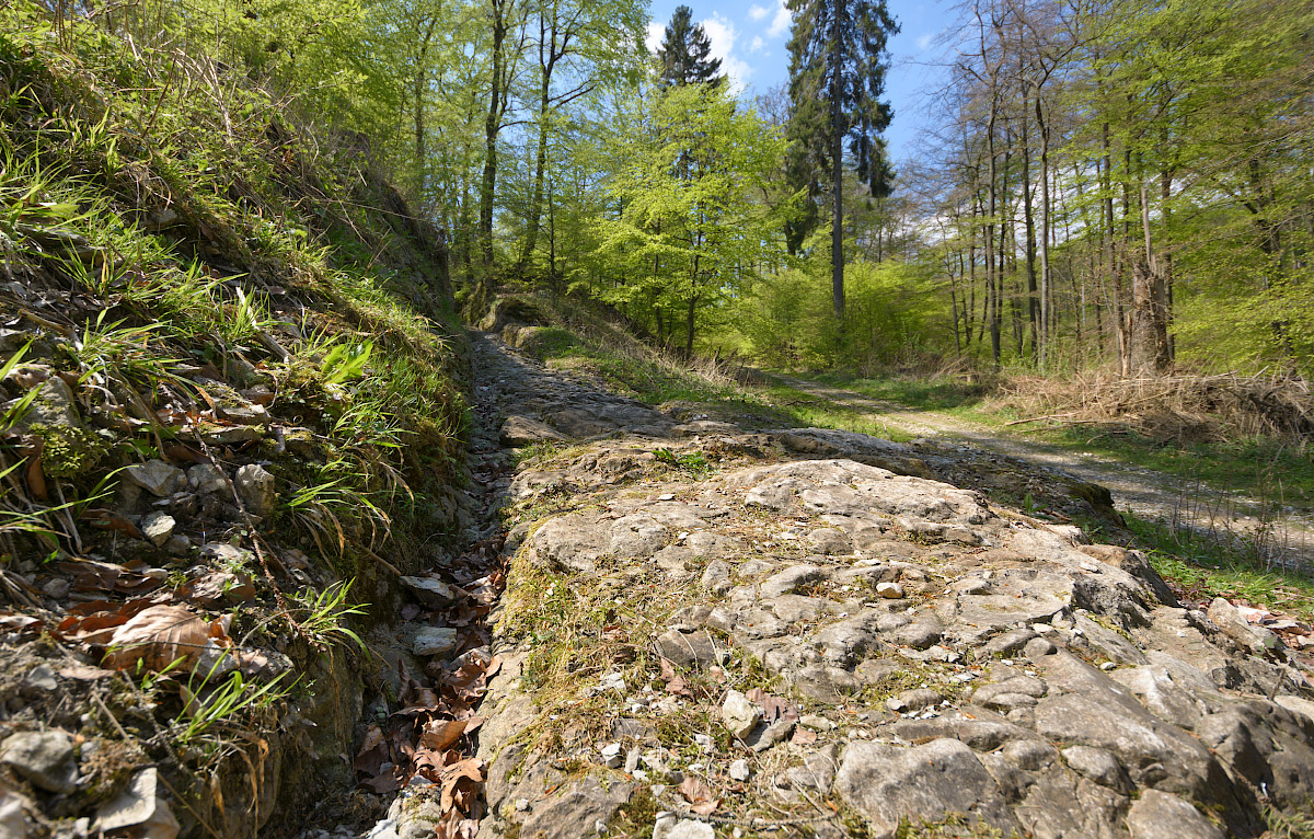 Historischer Hohlweg bei den Externsteinen Hellweg